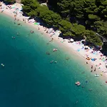 Vela Borka