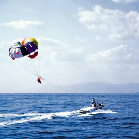 Vela Borka Podgora (Split-Dalmatia)