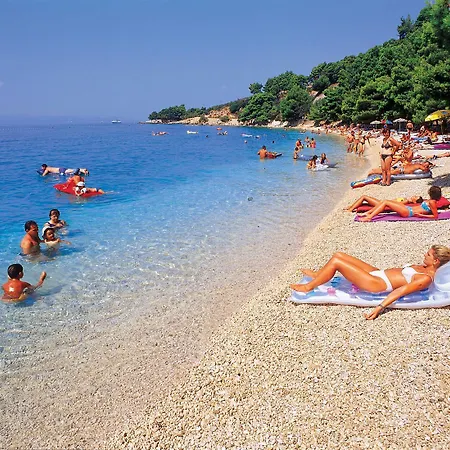 Vela Borka * Podgora (Split-Dalmatia)